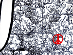 War and Peace - Detail 2